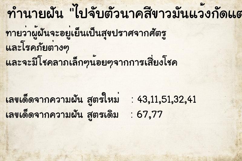 ทำนายฝัน ไปจับตัวนาคสีขาวมันแว้งกัดแต่ไม่ได้กัด ทำนายฝัน ไปจับตัวนาคสีขาวมันแว้งกัดแต่ไม่ได้กัด