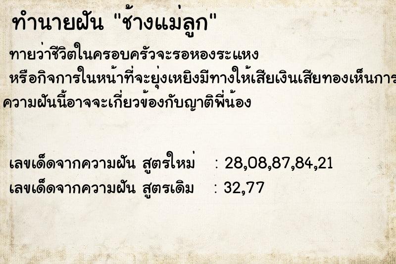 ทำนายฝัน ช้างแม่ลูก ทำนายฝัน ช้างแม่ลูก