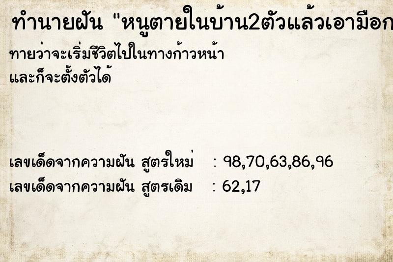 ทำนายฝันหนูตายในบ้าน2ตัวแล้วเอามือกวาด ทำนายฝันทำนายฝันหนูตายในบ้าน2ตัวแล้วเอามือกวาด