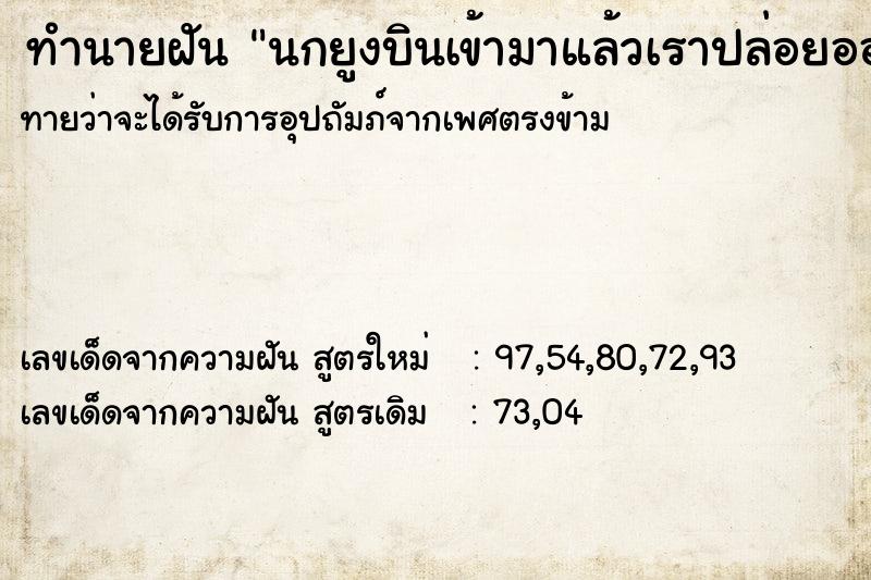 ทำนายฝันนกยูงบินเข้ามาแล้วเราปล่อยออกไป ทำนายฝันทำนายฝันนกยูงบินเข้ามาแล้วเราปล่อยออกไป
