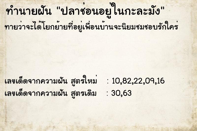 ทำนายฝันปลาช่อนอยู่ในกะละมัง ทำนายฝันทำนายฝันปลาช่อนอยู่ในกะละมัง
