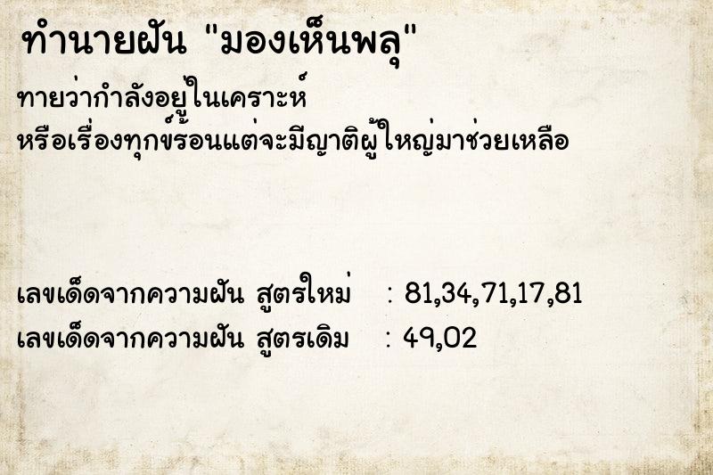 ทำนายฝันมองเห็นพลุ ทำนายฝันทำนายฝันมองเห็นพลุ