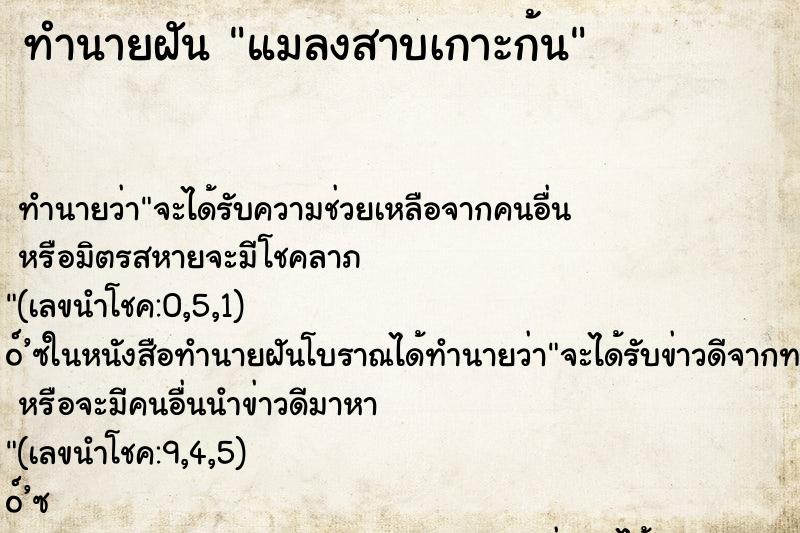 ทำนายฝันแมลงสาบเกาะก้น ทำนายฝันทำนายฝันแมลงสาบเกาะก้น