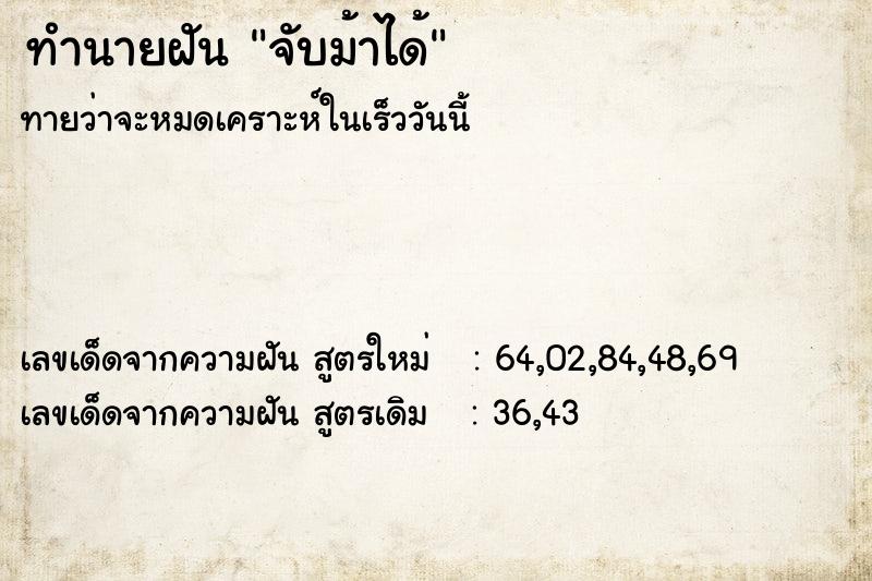 ทำนายฝันทำนายฝันจับม้าได้