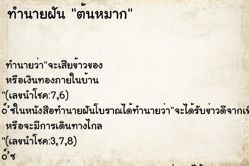 ทำนายฝัน ต้นหมาก ทำนายฝัน ต้นหมาก