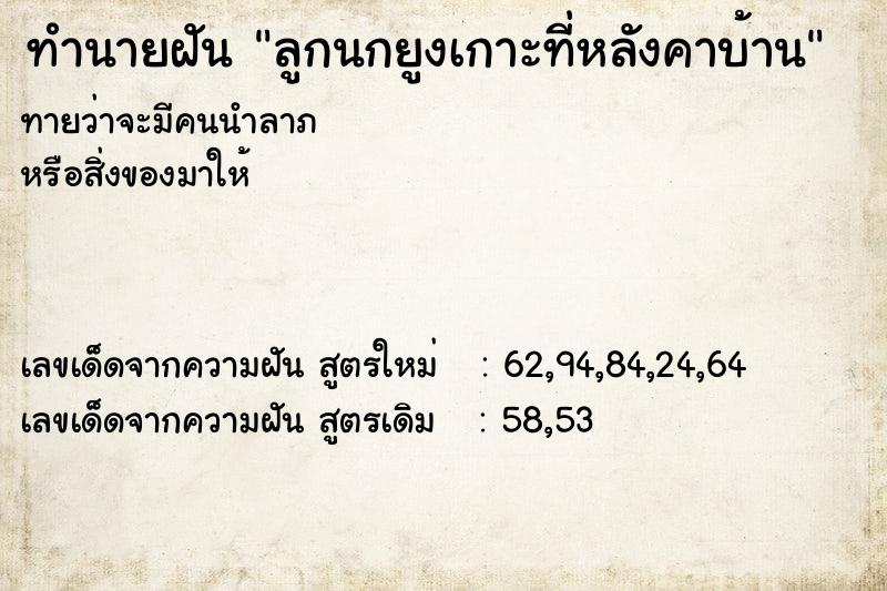 ทำนายฝันทำนายฝันลูกนกยูงเกาะที่หลังคาบ้าน
