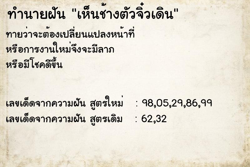 ทำนายฝัน เห็นช้างตัวจิ๋วเดิน ทำนายฝัน เห็นช้างตัวจิ๋วเดิน