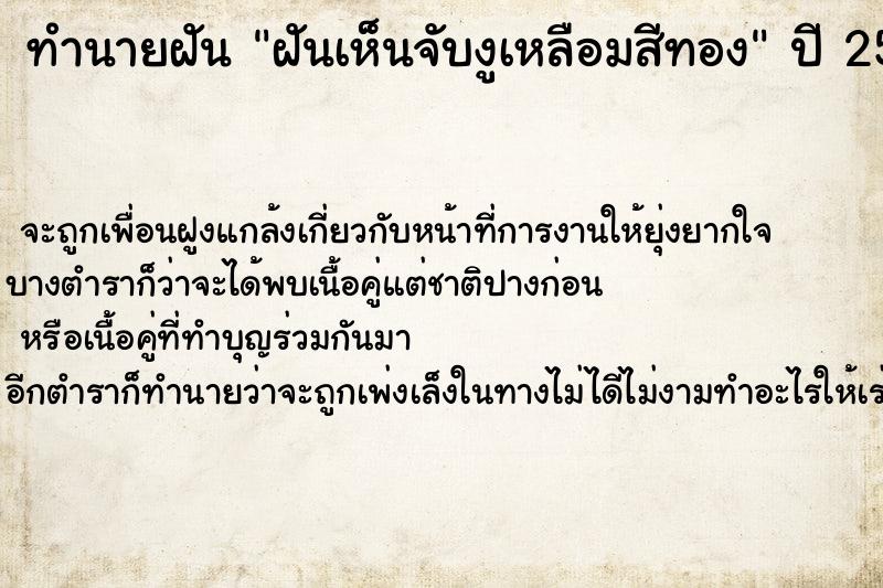 ทำนายฝัน ฝันเห็นจับงูเหลือมสีทอง ทำนายฝัน ฝันเห็นจับงูเหลือมสีทอง