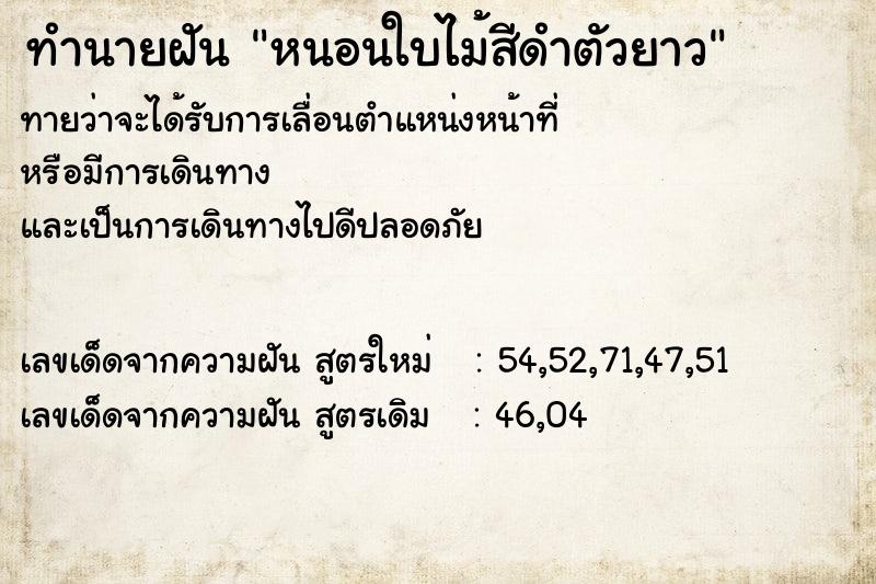 ทำนายฝันหนอนใบไม้สีดำตัวยาว ทำนายฝันทำนายฝันหนอนใบไม้สีดำตัวยาว