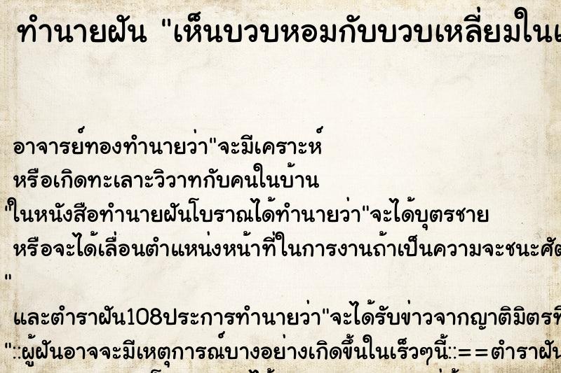 ทำนายฝันเห็นบวบหอมกับบวบเหลี่ยมในแปลงผักลูกใหญ่และยาว ทำนายฝันทำนายฝันเห็นบวบหอมกับบวบเหลี่ยมในแปลงผักลูกใหญ่และยาว