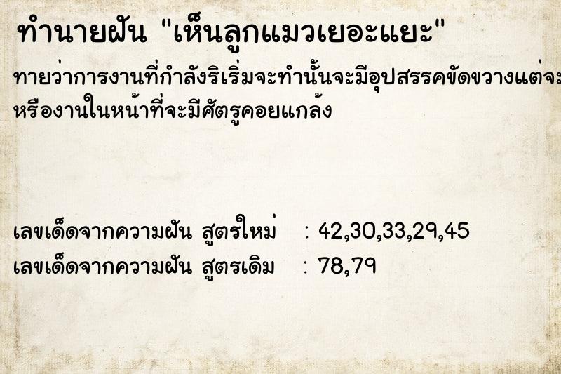 ทำนายฝัน เห็นลูกแมวเยอะแยะ ทำนายฝัน เห็นลูกแมวเยอะแยะ