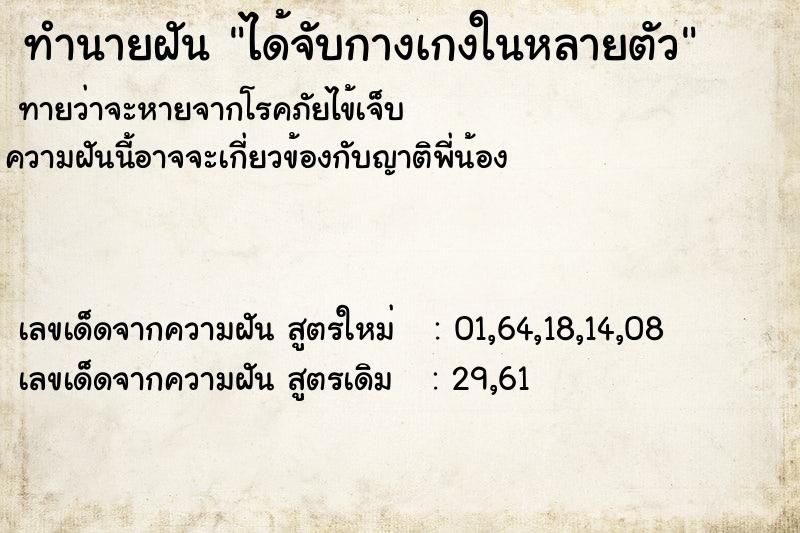 ทำนายฝันได้จับกางเกงในหลายตัว ทำนายฝันทำนายฝันได้จับกางเกงในหลายตัว