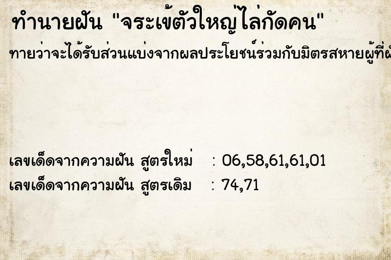 ทำนายฝันจระเข้ตัวใหญ่ไล่กัดคน ทำนายฝันทำนายฝันจระเข้ตัวใหญ่ไล่กัดคน