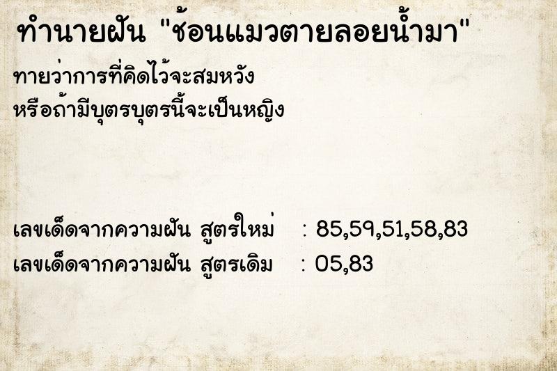 ทำนายฝัน ช้อนแมวตายลอยน้ำมา