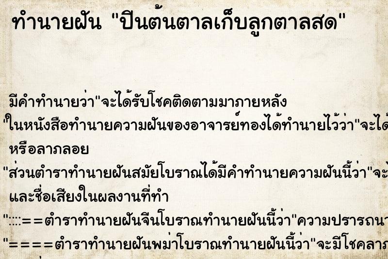ทำนายฝัน ปีนต้นตาลเก็บลูกตาลสด ทำนายฝัน ปีนต้นตาลเก็บลูกตาลสด