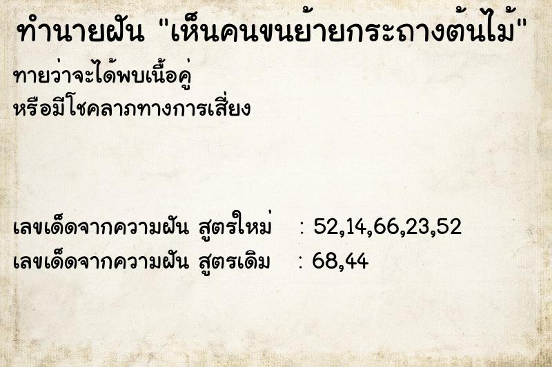 ทำนายฝันทำนายฝันเห็นคนขนย้ายกระถางต้นไม้