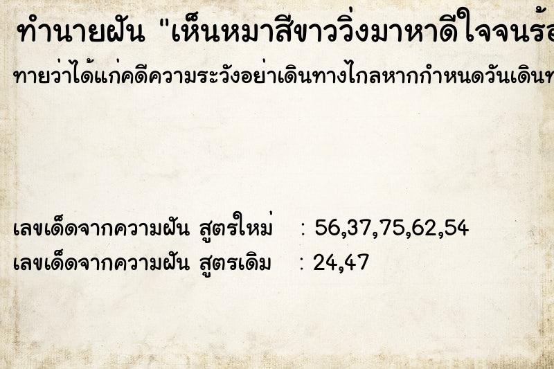ทำนายฝันทำนายฝันเห็นหมาสีขาววิ่งมาหาดีใจจนร้องไห้