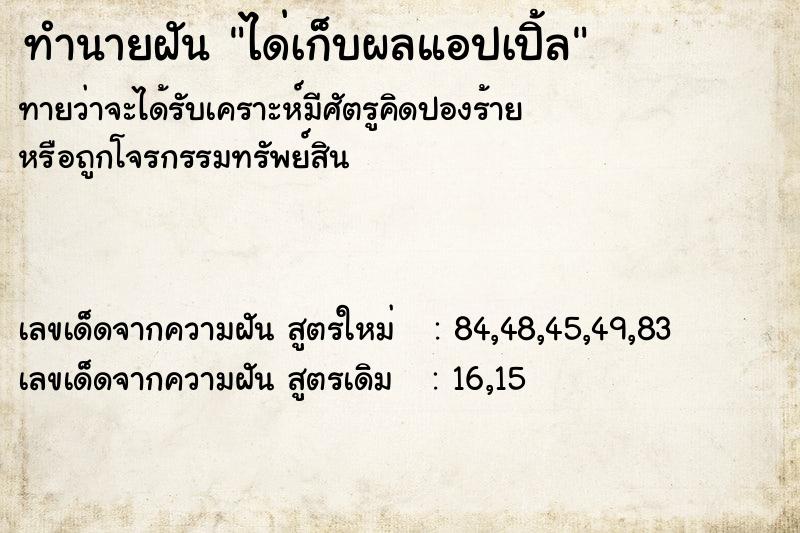 ทำนายฝันได่เก็บผลแอปเปิ้ล ทำนายฝันทำนายฝันได่เก็บผลแอปเปิ้ล