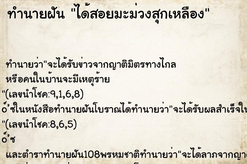 ทำนายฝันได้สอยมะม่วงสุกเหลือง ทำนายฝันทำนายฝันได้สอยมะม่วงสุกเหลือง