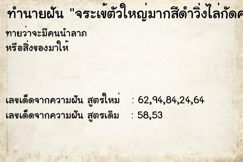 ทำนายฝันจระเข้ตัวใหญ่มากสีดำวิ่งไล่กัดคนอื่น ทำนายฝันทำนายฝันจระเข้ตัวใหญ่มากสีดำวิ่งไล่กัดคนอื่น