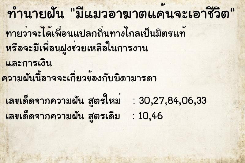 ทำนายฝันมีแมวอาฆาตแค้นจะเอาชีวิต ทำนายฝันทำนายฝันมีแมวอาฆาตแค้นจะเอาชีวิต