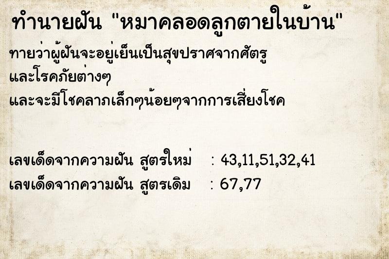 ทำนายฝันทำนายฝันหมาคลอดลูกตายในบ้าน