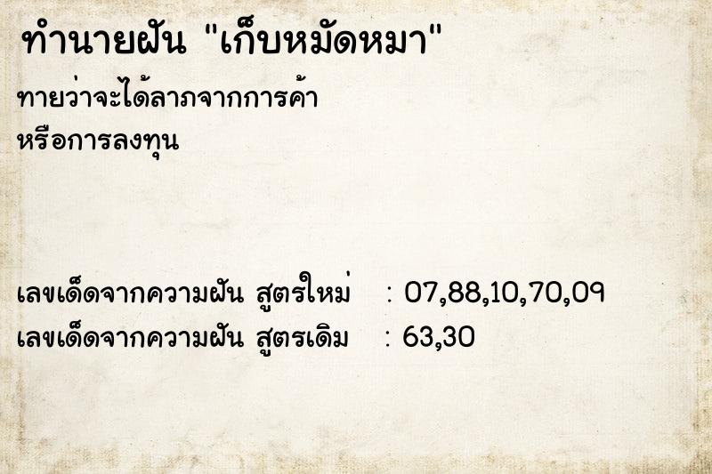 ทำนายฝันเก็บหมัดหมา ทำนายฝันทำนายฝันเก็บหมัดหมา