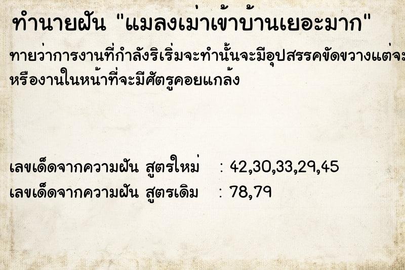 ทำนายฝันทำนายฝันแมลงเม่าเข้าบ้านเยอะมาก