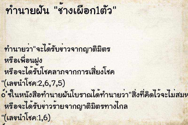 ทำนายฝันทำนายฝันช้างเผือก1ตัว
