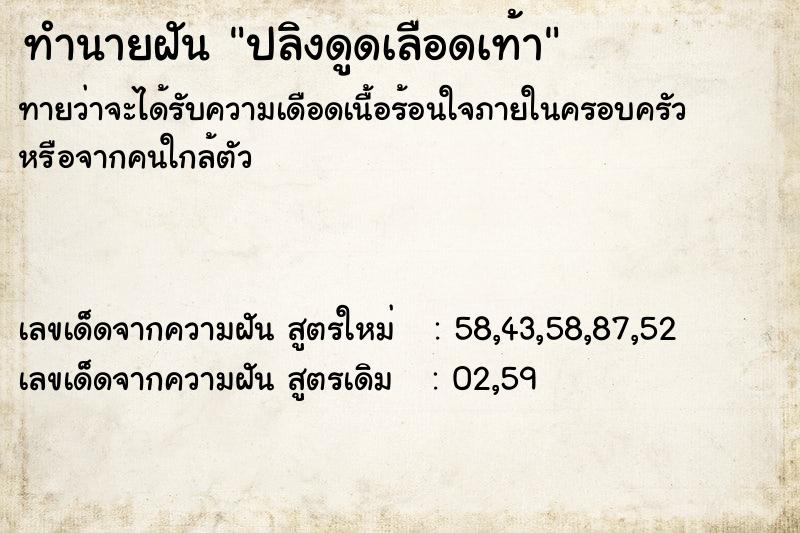 ทำนายฝันปลิงดูดเลือดเท้า ทำนายฝันทำนายฝันปลิงดูดเลือดเท้า