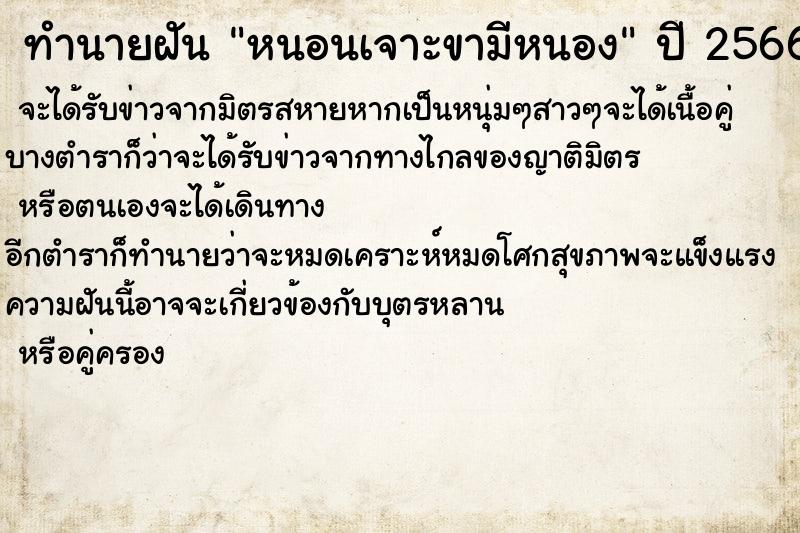 ทำนายฝันหนอนเจาะขามีหนอง ทำนายฝันทำนายฝันหนอนเจาะขามีหนอง