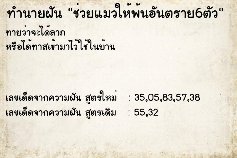 ทำนายฝันช่วยแมวให้พ้นอันตราย6ตัว ทำนายฝันทำนายฝันช่วยแมวให้พ้นอันตราย6ตัว