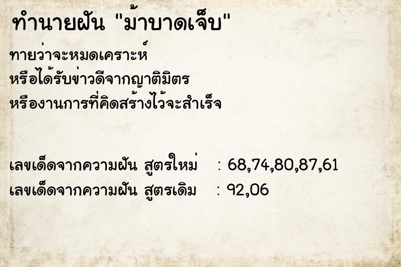 ทำนายฝัน ม้าบาดเจ็บ ทำนายฝัน ม้าบาดเจ็บ