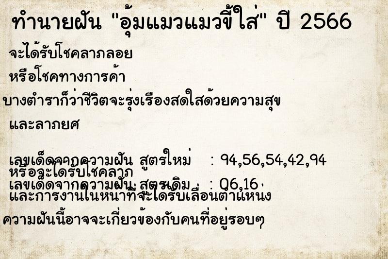 ทำนายฝัน อุ้มแมวแมวขี้ใส่