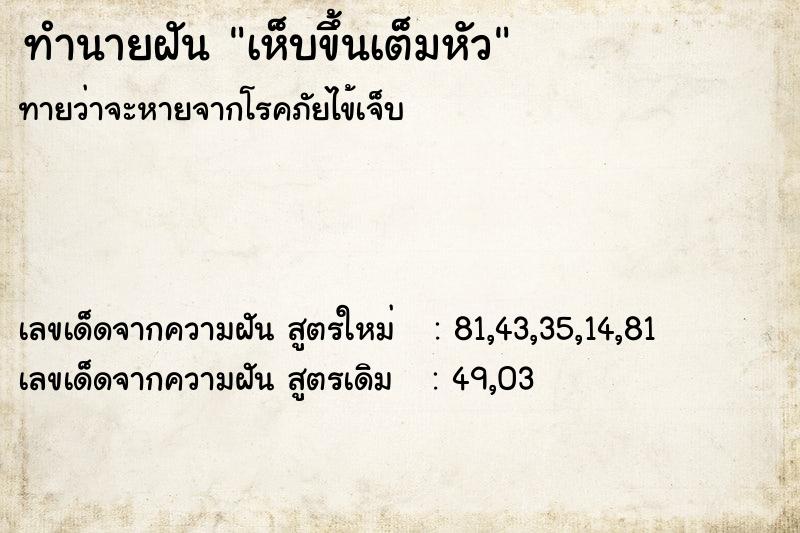 ทำนายฝันทำนายฝันเห็บขึ้นเต็มหัว