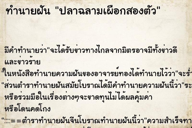 ทำนายฝันปลาฉลามเผือกสองตัว ทำนายฝันทำนายฝันปลาฉลามเผือกสองตัว