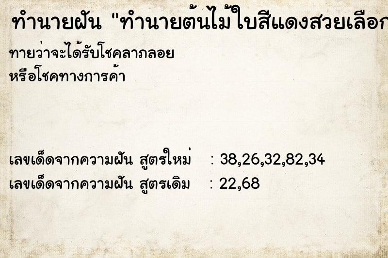 ทำนายฝันทำนายฝันทำนายต้นไม้ใบสีแดงสวยเลือกค