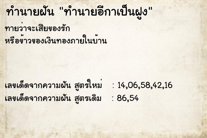 ทำนายฝัน ทำนายอีกาเป็นฝูง ทำนายฝัน ทำนายอีกาเป็นฝูง