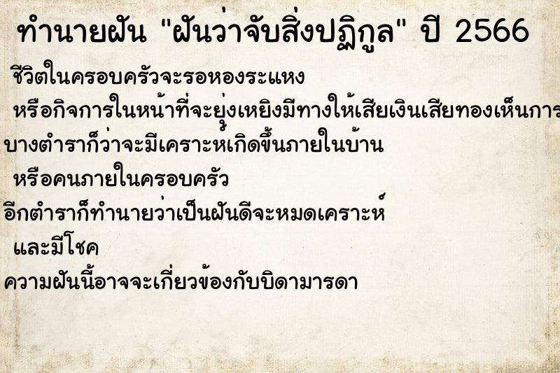 ทำนายฝันทำนายฝันฝันว่าจับสิ่งปฏิกูล