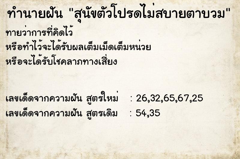ทำนายฝันสุนัขตัวโปรดไม่สบายตาบวม ทำนายฝันทำนายฝันสุนัขตัวโปรดไม่สบายตาบวม