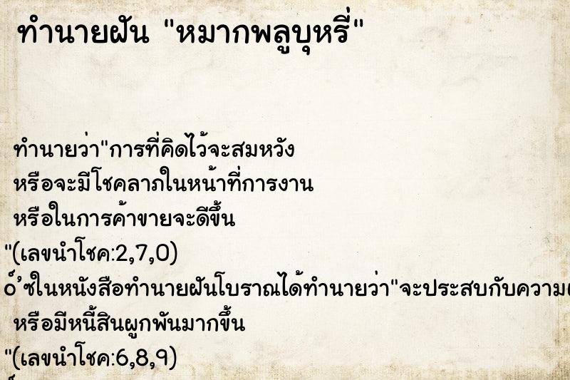 ทำนายฝันหมากพลูบุหรี่ ทำนายฝันทำนายฝันหมากพลูบุหรี่