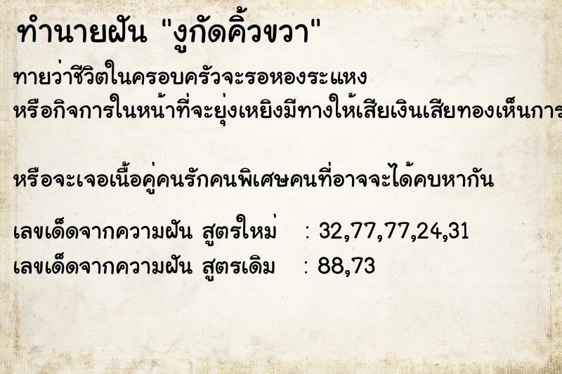ทำนายฝันทำนายฝันงูกัดคิ้วขวา