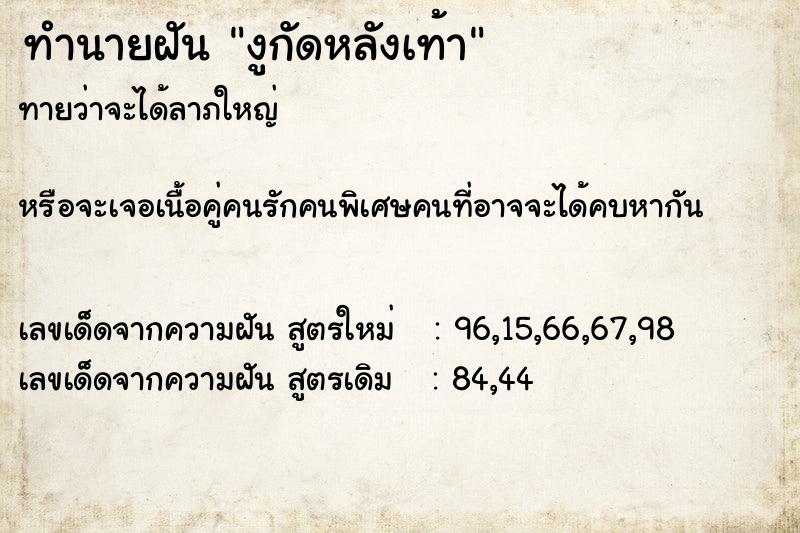 ทำนายฝัน งูกัดหลังเท้า ทำนายฝัน งูกัดหลังเท้า