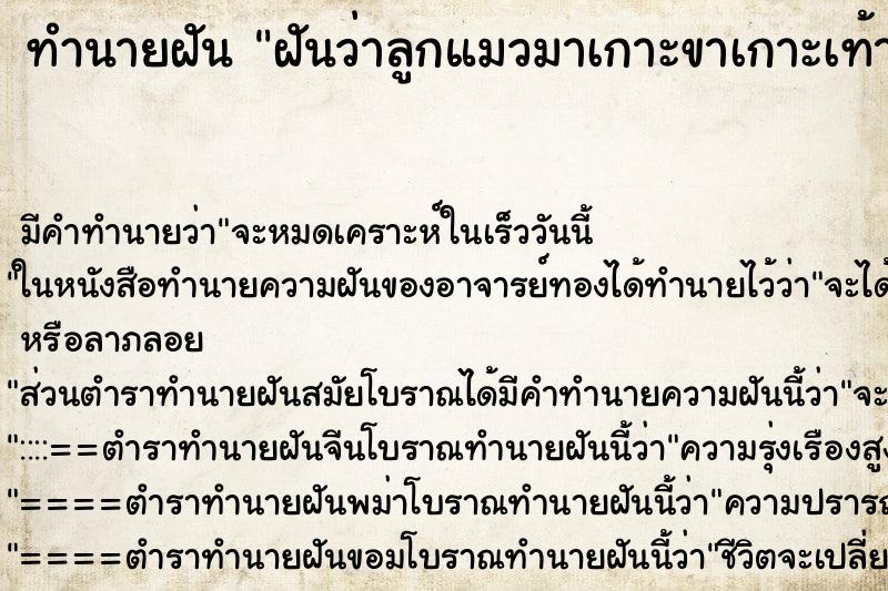 ทำนายฝัน ฝันว่าลูกแมวมาเกาะขาเกาะเท้า ทำนายฝัน ฝันว่าลูกแมวมาเกาะขาเกาะเท้า