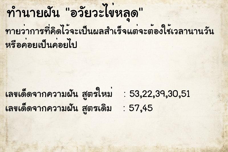 ทำนายฝันอวัยวะไข่หลุด ทำนายฝันทำนายฝันอวัยวะไข่หลุด