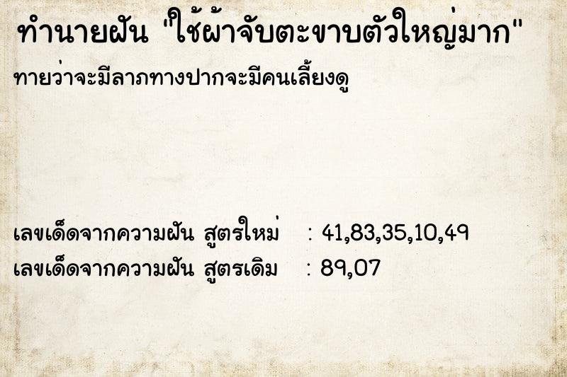 ทำนายฝันใช้ผ้าจับตะขาบตัวใหญ่มาก ทำนายฝันทำนายฝันใช้ผ้าจับตะขาบตัวใหญ่มาก