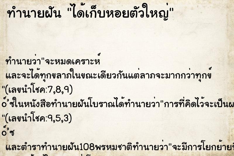 ทำนายฝันทำนายฝันได้เก็บหอยตัวใหญ่