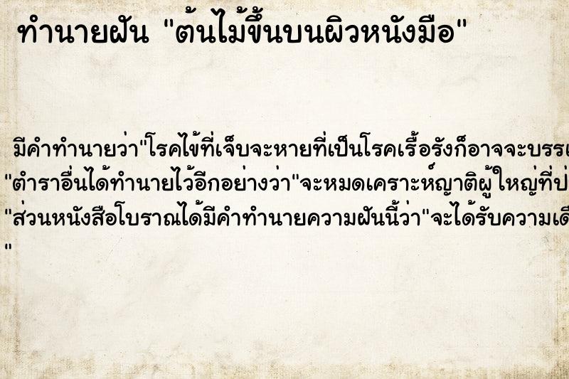 ทำนายฝันต้นไม้ขึ้นบนผิวหนังมือ ทำนายฝันทำนายฝันต้นไม้ขึ้นบนผิวหนังมือ