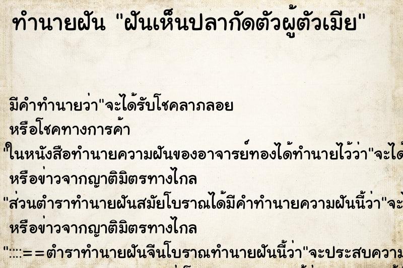 ทำนายฝัน ฝันเห็นปลากัดตัวผู้ตัวเมีย