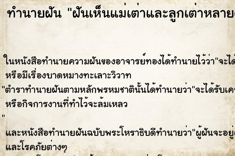 ทำนายฝันฝันเห็นแม่เต่าและลูกเต่าหลายตัว ทำนายฝันทำนายฝันฝันเห็นแม่เต่าและลูกเต่าหลายตัว
